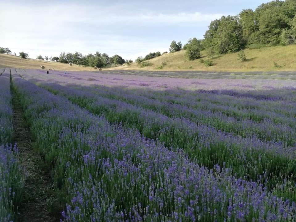 B&B I Girasoli Monte San Pietro Екстериор снимка