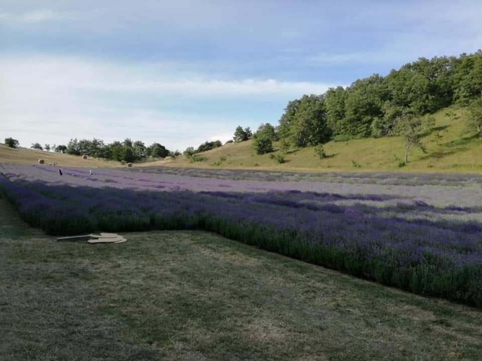 B&B I Girasoli Monte San Pietro Екстериор снимка